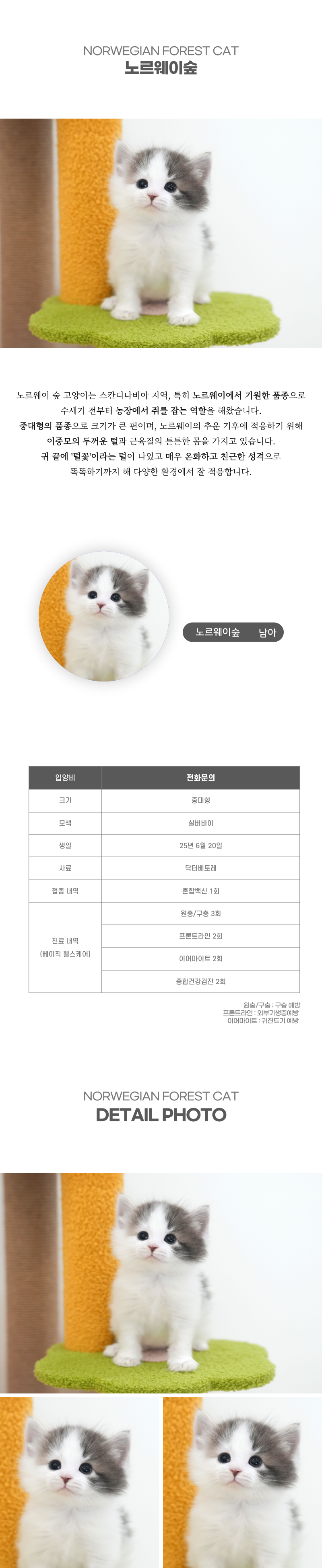 노르웨이숲_상세이미지_2